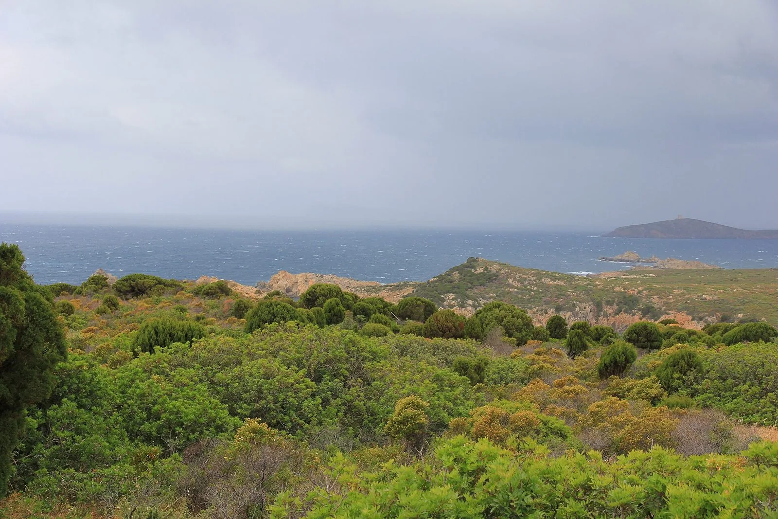 Macchia mediterranea sul promontorio di Capo Spartivento e mare increspato dal vento sotto un cielo grigio, con un isolotto sormontato da una torre all'orizzonte